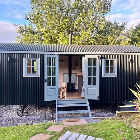 Mountain View Shepherd'S Hut For 2 Adults, 1 Dog Villa Llangoed Exterior foto